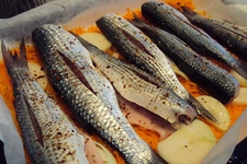 Kefal Balığı Nasıl Pişirilir Tarifi ve Malzemeleri Kefal Balığı Nasıl Pişirilir Tarifi ve Malzemeleri